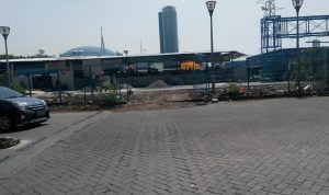 Pasar Mobil Kemayoran (PMK) Diduga Memangkas Habis Tanaman Yang Berada di Jalur Hijau