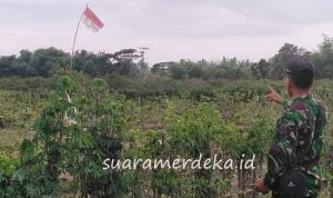 Banyuwangi Heboh, Bendera Merah Putih Bertuliskan P Joko Berkibar