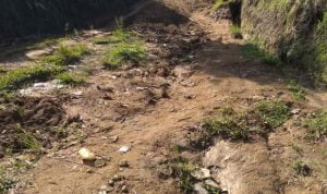 Warga Keluhkan Jalan Lingkar Antar Jorong Nagari Gumarang