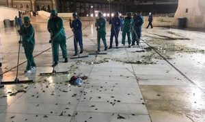 Video Masjidil Haram Dikepung Jutaan Jangkrik dan Belalang Hitam