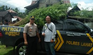 Satres Narkoba Polres Lahat Temukan Ladang Ganja 1 Hektar