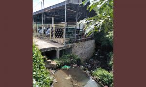 Diduga Melanggar DAS: Ada Surat Dari Walikota Baru Saya Bongkar