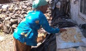 Mbah Salweah, Makan Dengan Nasi Sisa Semalam Pemberian Tetangga