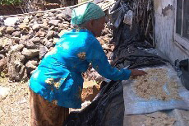 Mbah Salweah, Makan Dengan Nasi Sisa Semalam Pemberian Tetangga