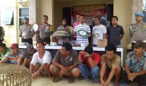 Polres Muba Berhasil Bongkar Judi Sabung Ayam Lintas Kabupaten