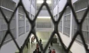 Ade R: Pelaku Pesta Narkoba di Lapas Cipinang Sudah di Sel Tikus