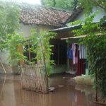 Drainase Mampet Jadi Langganan Jika Kabupaten Situbondo Diguyur Hujan Lebat Drainase Mampet Jadi Langganan Jika Kabupaten Situbondo Diguyur Hujan Lebat