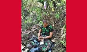 Surat Terbuka Natalius Pigai Untuk Joko Widodo