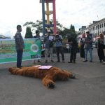 Selamatkan Hutan Batang Toru, Bank Of China Stop Funding PLTA