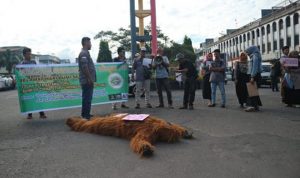Selamatkan Hutan Batang Toru, Bank Of China Stop Funding PLTA