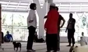 Video Viral Wanita Non Muslim Membawa Anjing Masuk Masjid Video Viral Wanita Non Muslim Membawa Anjing Masuk Masjid