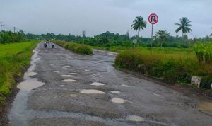 Jalan Kawasan Ekonomi Khusus Kabupaten Sorong Rusak Parah