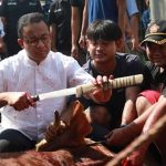 Anies Baswedan Menyembelih Hewan Kurban Sendiri