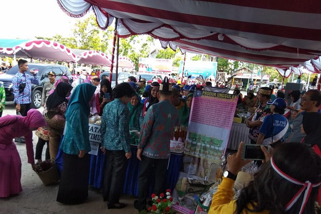 Bupati Kapuas Terus Tingkatkan 10 Program Pokok PKK