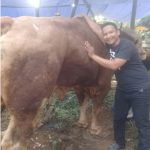 Berdayakan Peternak Lokal Melalui Inovasi Nusalokal