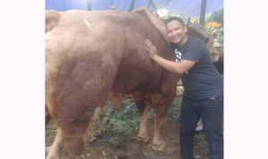 Berdayakan Peternak Lokal Melalui Inovasi Nusalokal