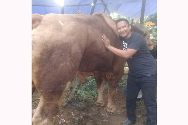 Berdayakan Peternak Lokal Melalui Inovasi Nusalokal