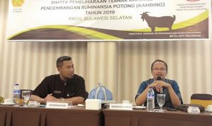 Dinas Peternakan Gelar Bimtek Pemeliharaan Ternak Kambing