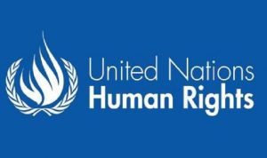 Para Ahli HAM PBB Protes Indonesia Terkait Status Veronica Koman