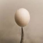 Telur Busuk di Ujung Tanduk KPK. Opini Dimas Huda