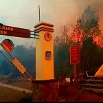 Si Jago Merah Melahab Pintu Masuk Taman Wisata Alam Kawah Ijen