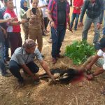 laporan awal dari masyarakat terkait dugaan adanya penyerahan uang.