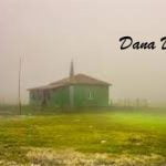 Desa Fiktif, Apa Kata Dunia. Opini Dr Chazali H Situmorang