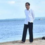 Relawan Jokowi: Dewas, Penasihat dan Wamen Cuma Membebani Keuangan Negara