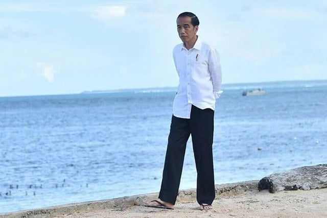Relawan Jokowi: Dewas, Penasihat dan Wamen Cuma Membebani Keuangan Negara