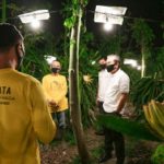 Listrik Untuk Sang Naga di Banyuwangi Raih Indonesian CSR Awards Listrik Untuk Sang Naga di Banyuwangi Raih Indonesian CSR Awards
