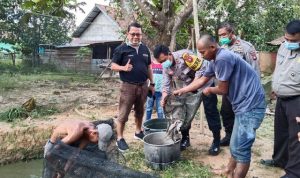 Panen Budidaya Ikan Lele Warga Binaan CV Multi Karya Mandiri dan Polres Melawi Panen Budidaya Ikan Lele Warga Binaan CV Multi Karya Mandiri dan Polres Melawi
