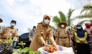 Bupati Banyuwangi Sebut Viral Cabai Dicat Merugikan Petani Bupati Banyuwangi Sebut Viral Cabai Dicat Merugikan Petani