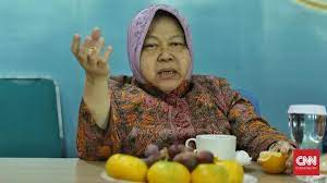 Bu Risma 21 Juta Itu Banyak Loh, Malahan Banyak Banget. Itu Sama Saja Menelanjangi PDIP