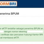 Tanda UMKM Lolos Banpres BPUM Rp1,2 Juta di eform.bri.co.id, NIK eKTP Tak Terdaftar BLT Bisa Lakukan Ini