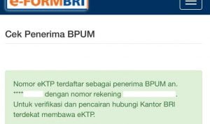 Cek Penerima BPUM Tanda UMKM Lolos Banpres BPUM Rp1,2 Juta di eform.bri.co.id, NIK eKTP Tak Terdaftar BLT Bisa Lakukan Ini