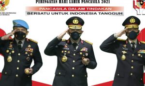 IMG-20210601-WA0011