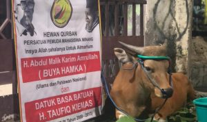 CollageMaker_20210720_210303947 PPMM Kurban Sapi yang Pahalanya untuk Buya Hamka dan Taufik Kiemas