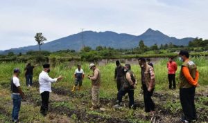 Curah Hujan Tinggi, Bupati Aceh Tengah Tinjau Lokasi Terdampak Bencana