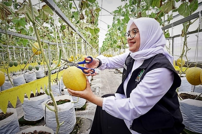 GridArt_20260226_184750311